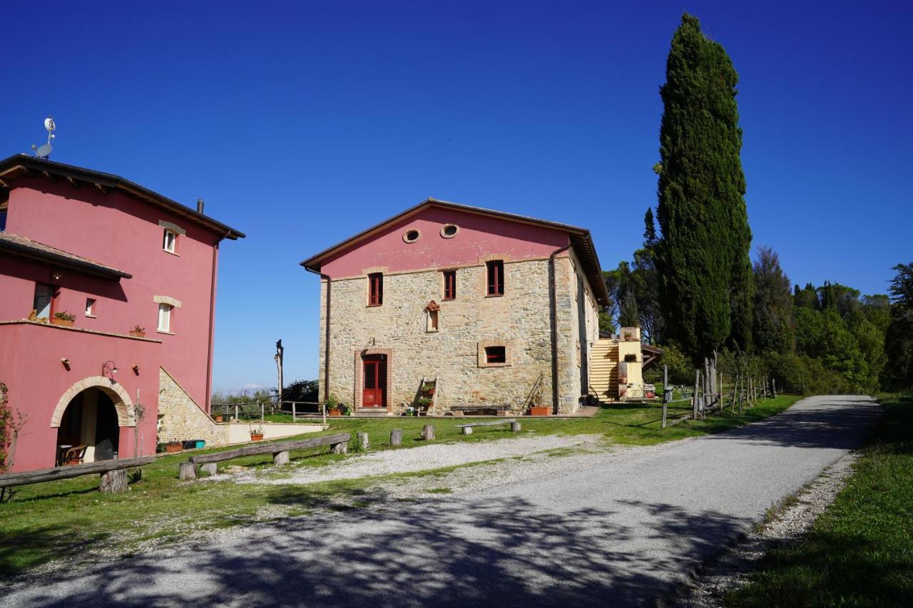 Agriturismo Il Sarale - Umbria 치타디카스텔로 외부 사진