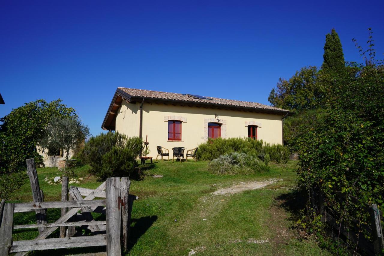 Agriturismo Il Sarale - Umbria 치타디카스텔로 외부 사진
