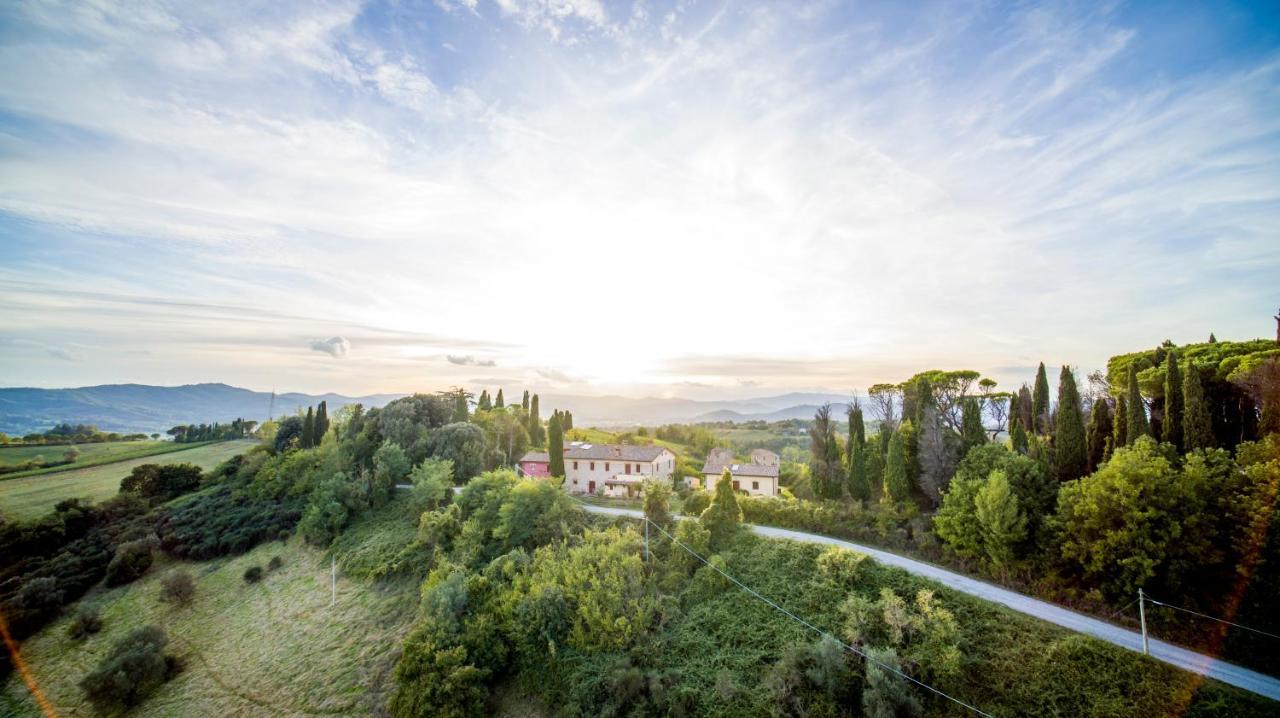Agriturismo Il Sarale - Umbria 치타디카스텔로 외부 사진