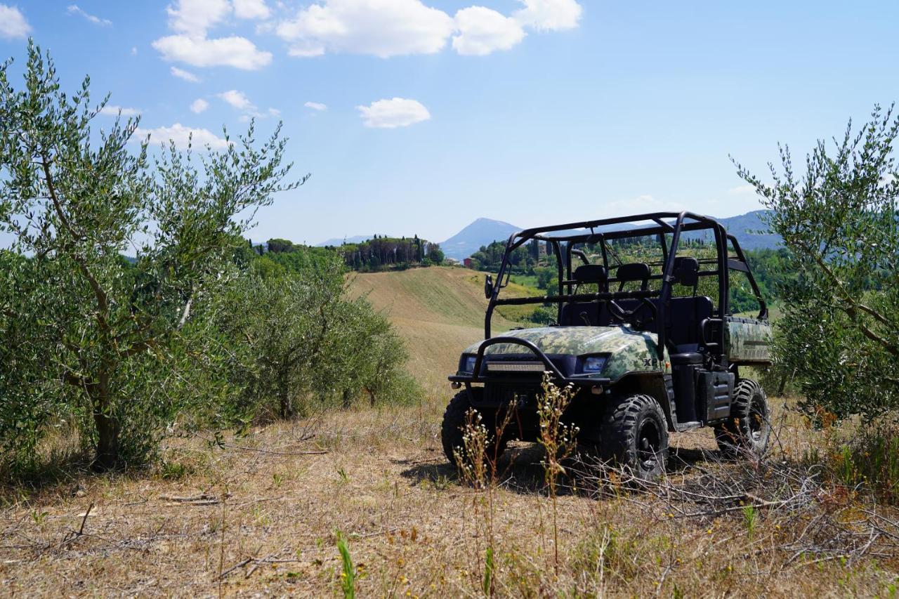 Agriturismo Il Sarale - Umbria 치타디카스텔로 외부 사진